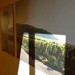 酒店 Der Patrizierhof - Weingut - Familie Grebner