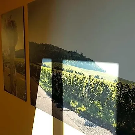 Der Patrizierhof - Weingut - Familie Grebner Grosslangheim