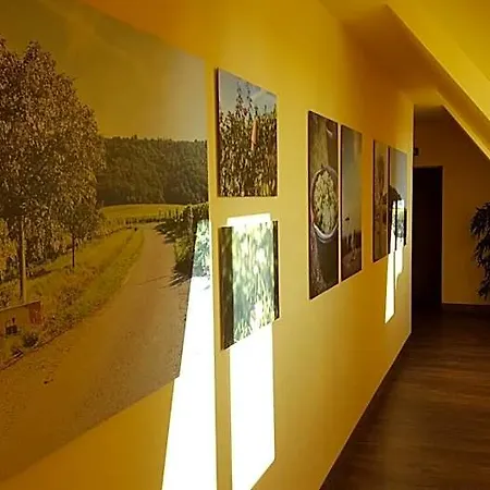 Ξενοδοχείο Der Patrizierhof - Weingut - Familie Grebner 3*